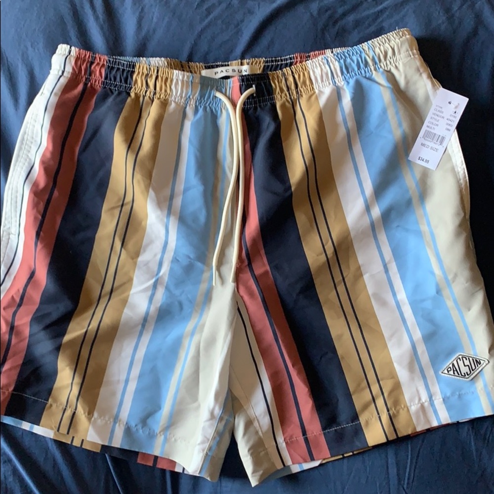 Pacsun Vertical Multi Striped 17" Swim Trunks